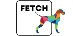Fetch Social Media Agency Logo