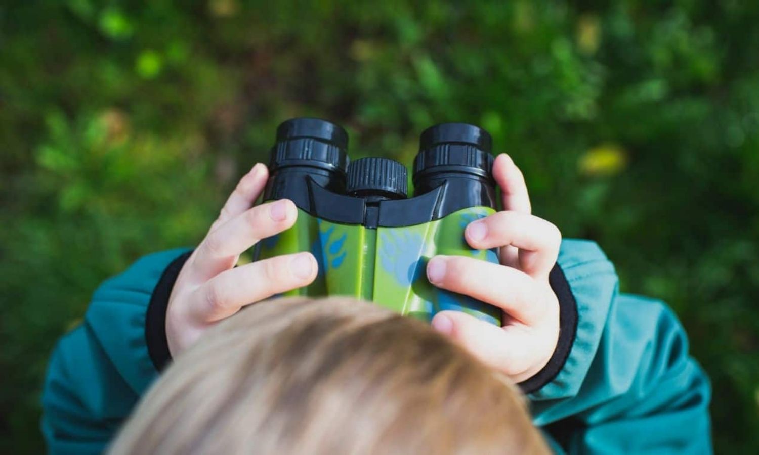 Social media and search engine success: what you need to know